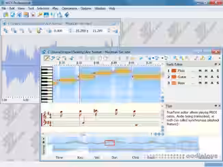 WIDI Recognition System Professional v4.5.0 Build 677 [WiN]