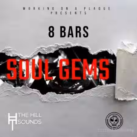 Working On A Plaque 8 Bars Soul Gems [WAV] - Sample Pack Artwork