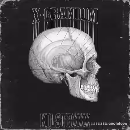 X-CRANIUM LoopKit + DrumKit + Mail List [WAV, MiDi, Synth Presets] - Sample Pack Artwork
