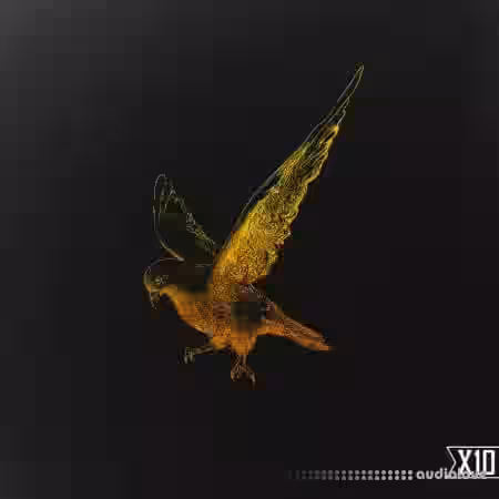 X10 Motion Deep Trap And Drill Melody Pack [WAV] - Sample Pack Artwork