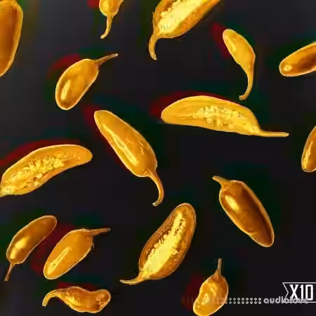 X10 Pepper Dancehall Vocals [WAV] - Sample Pack Artwork