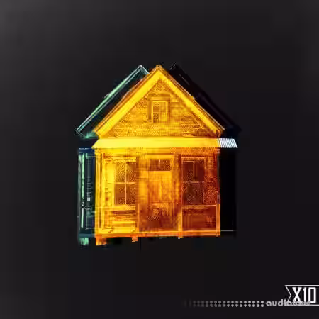 X10 Plucks From The Bando [WAV] - Sample Pack Artwork