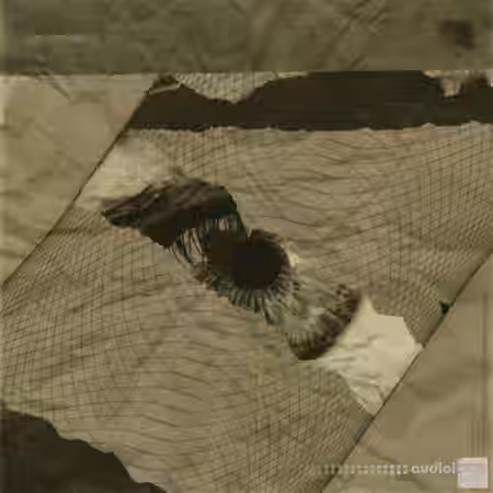 XY Avant Garde (Oneshot Kit) [WAV] - Sample Pack Artwork