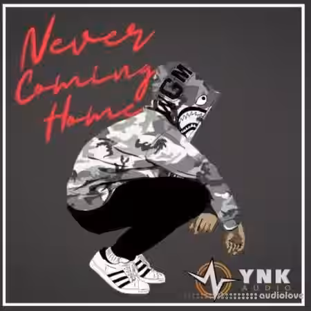 YnK Audio Never Coming Home [WAV] - Sample Pack Artwork