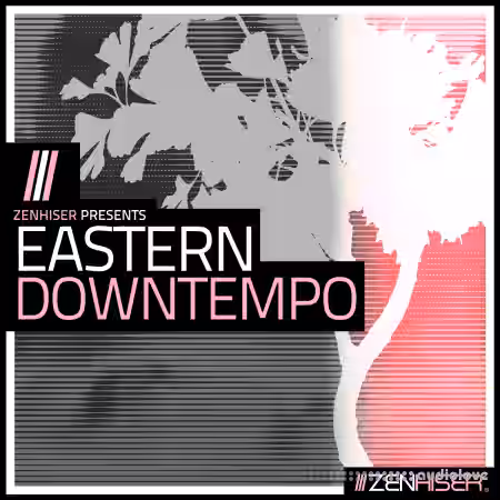 Zenhiser Eastern Downtempo [WAV] - Sample Pack Artwork