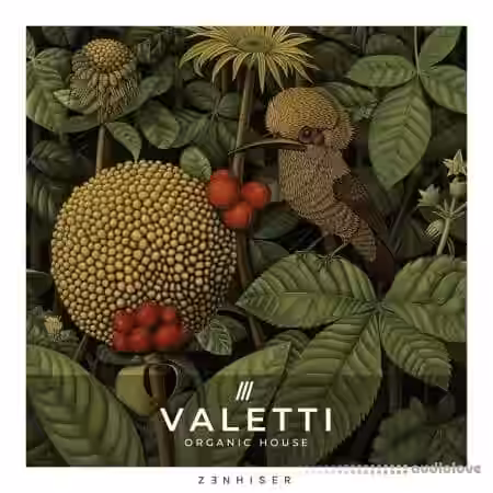 Zenhiser Valetti - Organic House [WAV] - Sample Pack Artwork