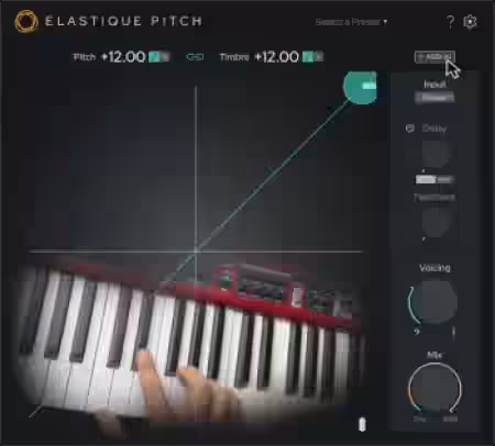 zplane elastiquePitch v2.5.0 [MacOSX] - Sample Pack Artwork