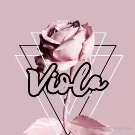 Ztar Audio Viola [WAV] - Sample Pack Artwork