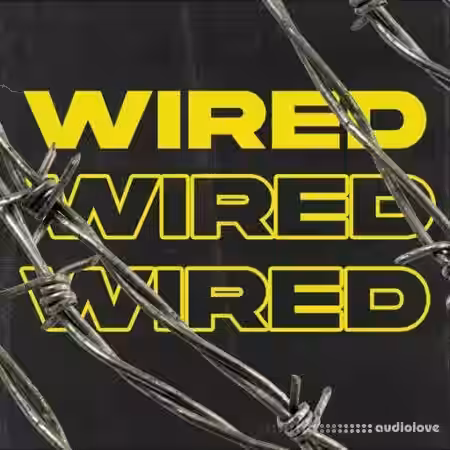 Ztar Audio Wired [WAV] - Sample Pack Artwork